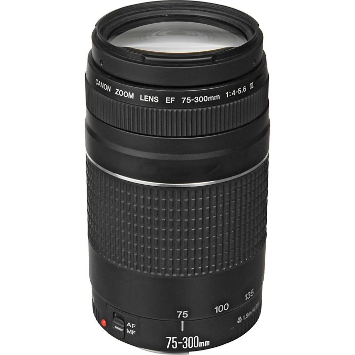 Canon EOS 250D Kit (18-55mm IS STM + 75-300mm)