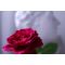 Canon RF 16-28mm f/2.8 IS STM Canon RF 16-28mm f/2.8 IS STM