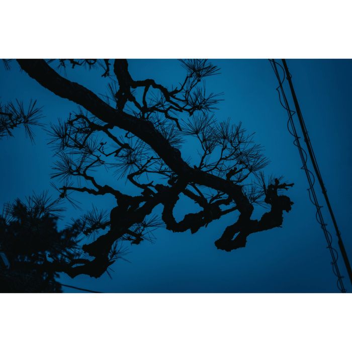 Sigma AF 17-40mm f/1.8 DC Art