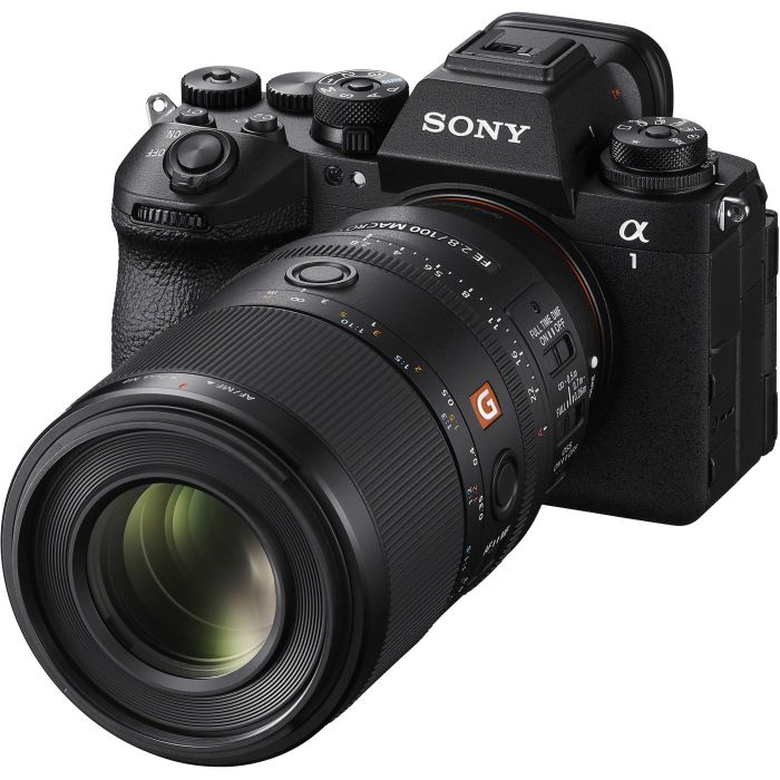 Sony SEL100M28GM 100mm f/2,8 GM