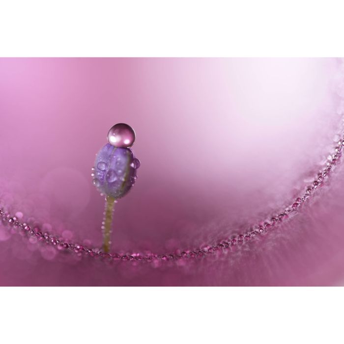 Sony SEL100M28GM 100mm f/2,8 GM