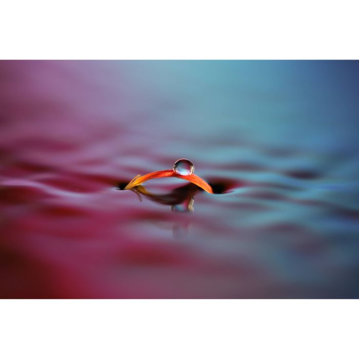 Sony SEL100M28GM 100mm f/2,8 GM