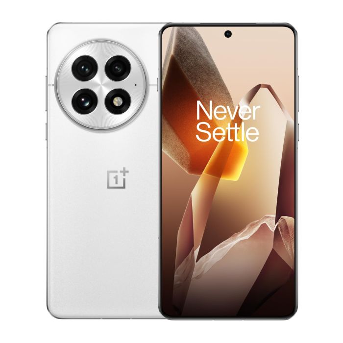 OnePlus 13 24/1TB Arctic Dawn