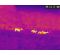 AGM Taipan TM15-384 AGM Taipan TM15-384