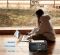 BLUETTI AC500 + B300S Home Battery Backup (PB931026) BLUETTI AC500 + B300S Home Battery Backup (PB931026)