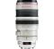 Canon EF 100-400mm f/4,5-5,6L IS USM