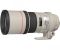 Canon EF 300mm f/4L IS USM