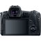 Canon EOS R + MT ADP EF-EOSR Canon EOS R + MT ADP EF-EOSR