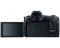 Canon EOS R + MT ADP EF-EOSR Canon EOS R + MT ADP EF-EOSR