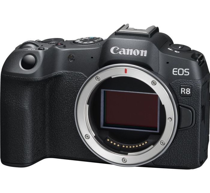 Canon EOS R8 body + Mount Adapter EF-EOS R (5803C019)