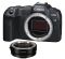 Canon EOS R8 body + Mount Adapter EF-EOS R (5803C019)