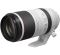 Canon RF 100-500mm f/4,5-7,1 L IS USM