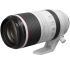 Canon RF 100-500mm f/4,5-7,1 L IS USM