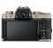 Fujifilm X-T100 body