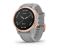 Garmin Fenix 6S