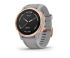 Garmin Fenix 6S