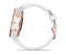Garmin Fenix 6S Pro Rose Gold Garmin Fenix 6S Pro Rose Gold