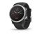 Garmin Fenix 6S