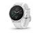 Garmin Fenix 6S