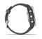 Garmin Fenix 7S Pro Solar Silver w. Graphite Band (010-02776-00/01)