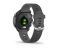 Garmin Forerunner 245 Slate Gray (010-02120-00)