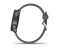 Garmin Forerunner 245 Slate Gray (010-02120-00)