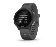 Garmin Forerunner 245 Slate Gray (010-02120-00)