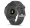 Garmin Forerunner 255 Slate Gray (010-02641-00/10/43)