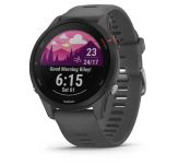 Garmin Forerunner 255 Slate Gray (010-02641-00/10/43)