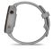 Garmin Forerunner 255S Powder Gray (010-02641-02/12)