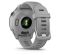 Garmin Forerunner 255S Powder Gray (010-02641-02/12)