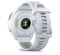 Garmin Forerunner 965 Titanium Bezel w. Whiteston Case and Whiteston/Powder Gray S. Band (010-02809-01/11)