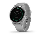 Garmin Vivoactive 4S Powder Gray/Silver (010-02172-03/010-02172-01)