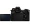 Panasonic Lumix DC-S1H body