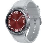 Samsung Galaxy Watch6 Classic 43mm eSIM Silver (SM-R955FZSA)