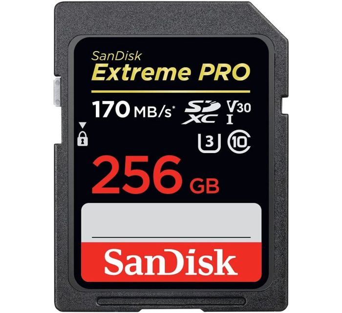 SanDisk 256 GB SDXC UHS-I U3 Extreme Pro SDSDXXY-256G-GN4IN