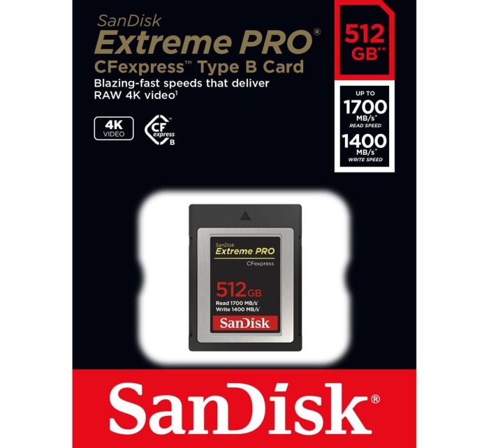 SanDisk 512 GB Extreme Pro CFexpress Type B (SDCFE-512G-GN4IN)