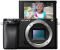 Sony Alpha A6100 body