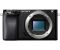 Sony Alpha A6100 body