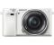 Sony Alpha A6000 kit (16-50mm)