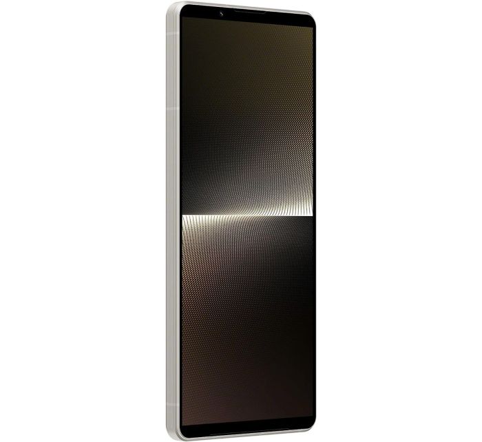 Sony Xperia 1 V 12/512GB Platinum Silver