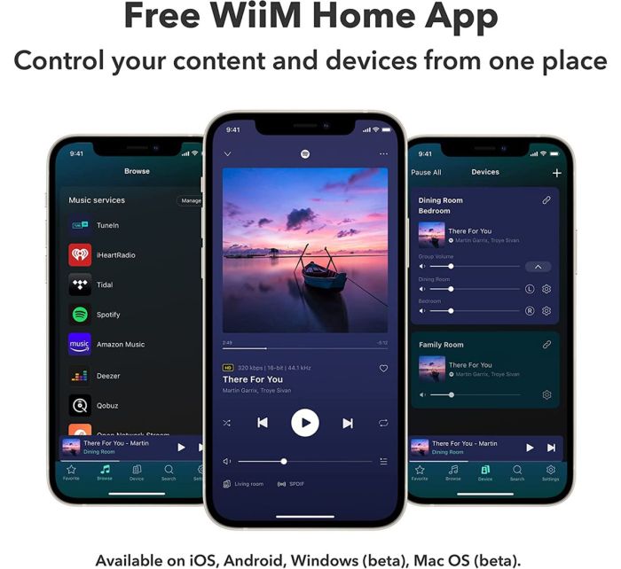WiiM Pro 2.4G+ 5G version Airplay2